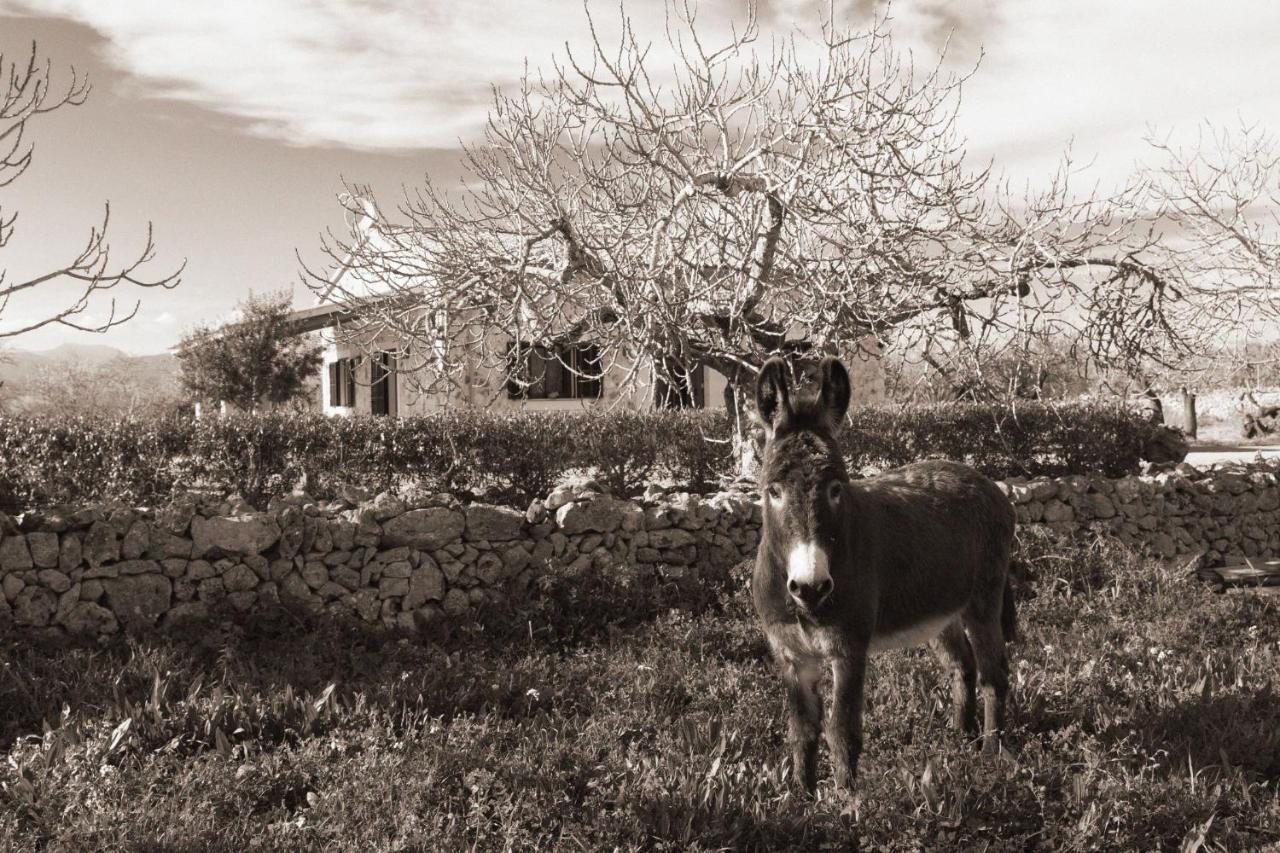 155 Finca Son Rossignol By Mallorca Charme シネウ エクステリア 写真