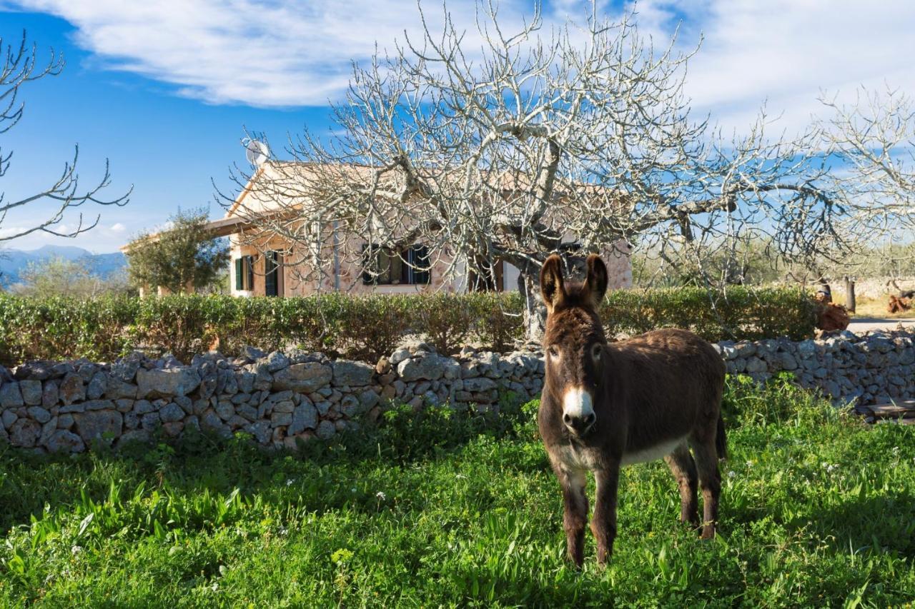 155 Finca Son Rossignol By Mallorca Charme シネウ エクステリア 写真